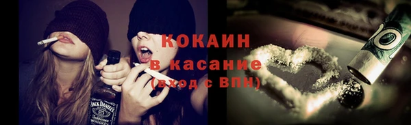 тгк Алексин