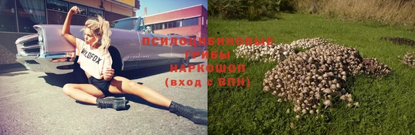 молекула духа Алексеевка