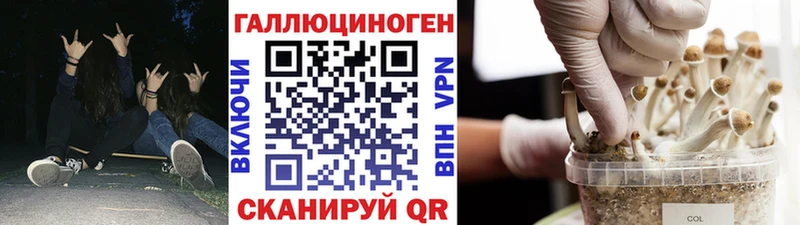 закладки  Бикин  Галлюциногенные грибы Magic Shrooms 